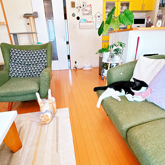 moolさんの部屋