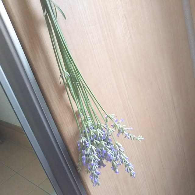 eriponさんの実例写真