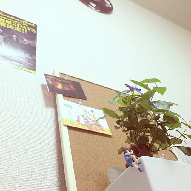 akiさんの実例写真