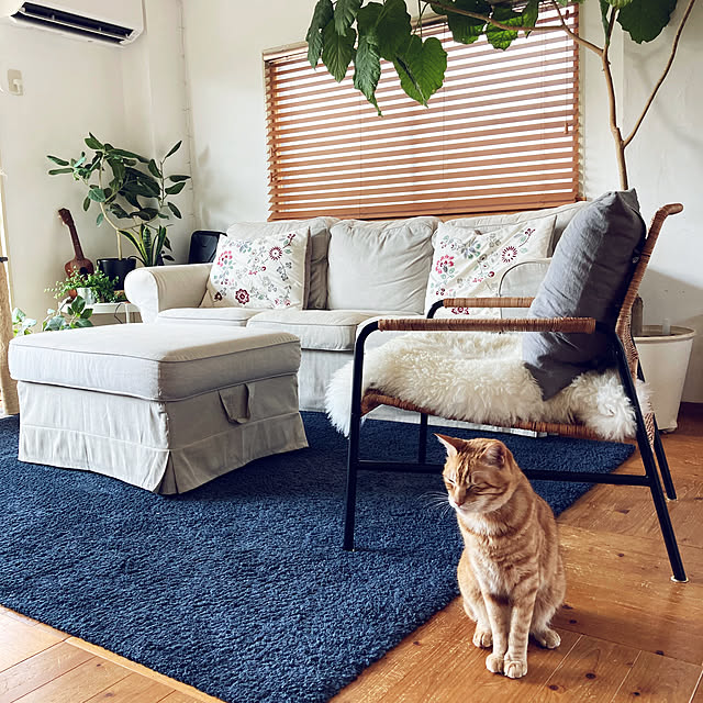 catsmamさんの実例写真