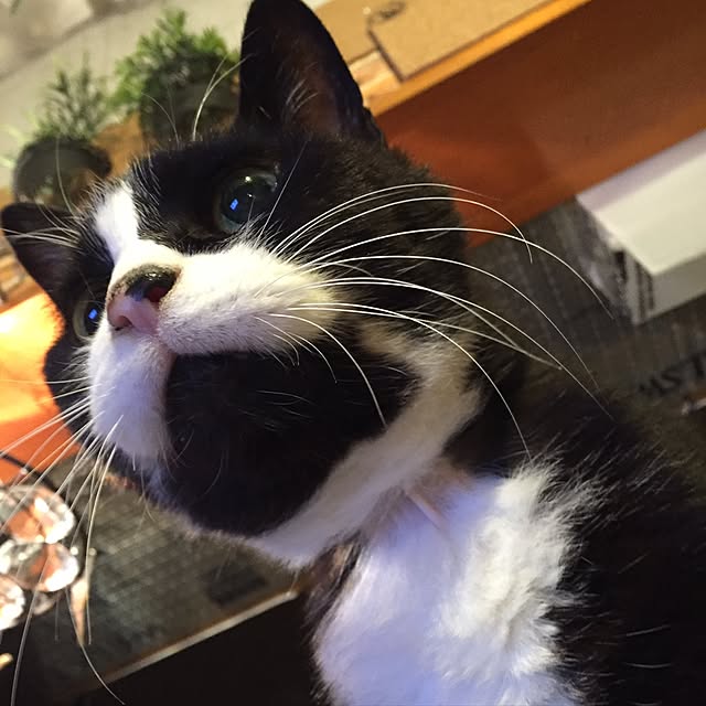 yunaさんの実例写真