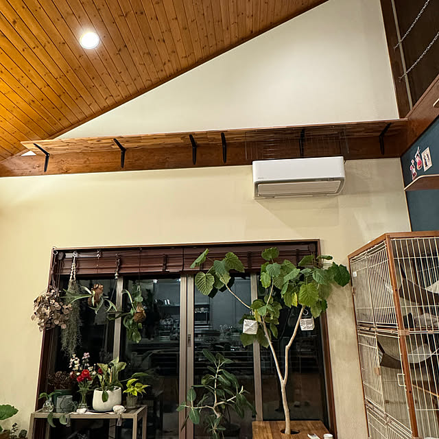 noraさんの部屋