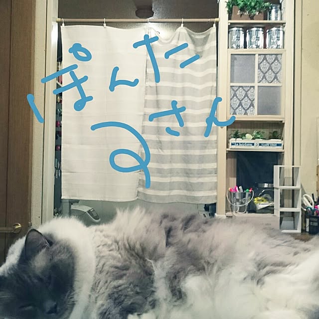 yukiさんの実例写真
