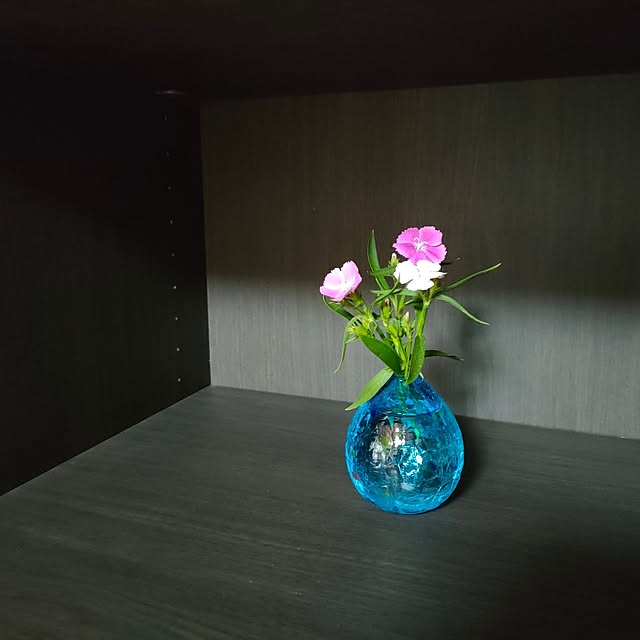 reguさんの部屋