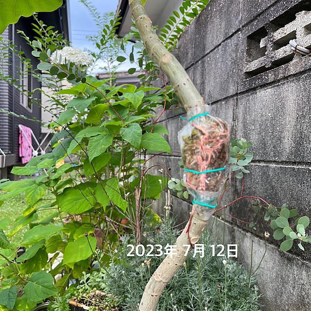 asさんの部屋