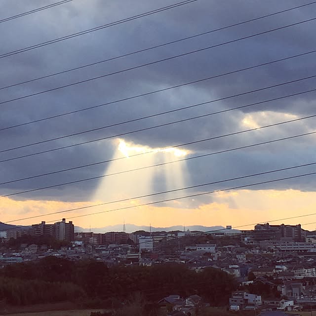 実例写真