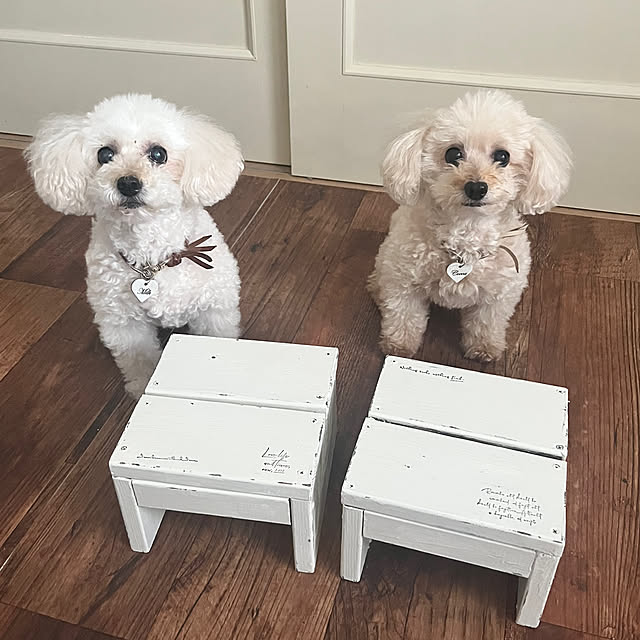 akko1205さんの実例写真