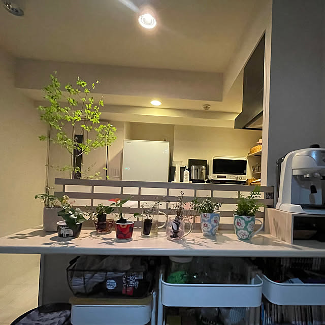 mayuko666さんの部屋