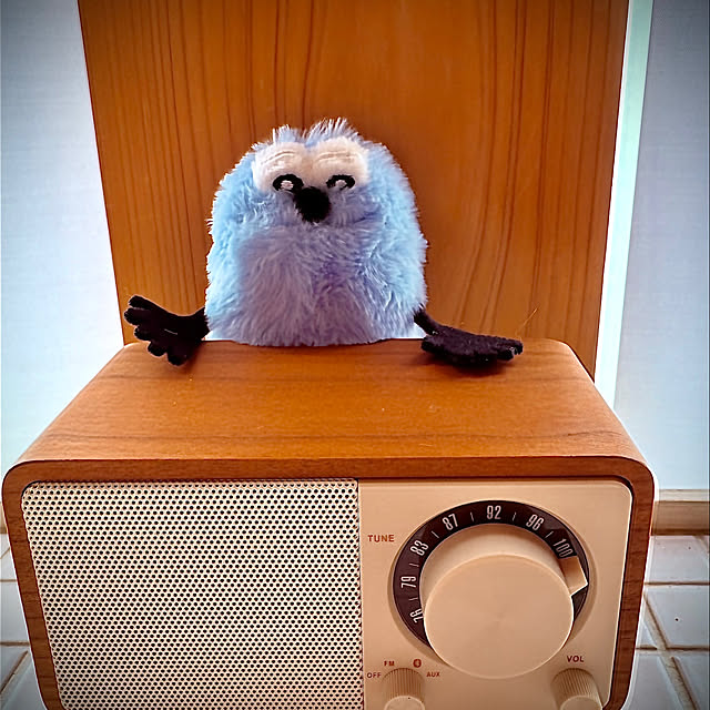 ayさんの実例写真