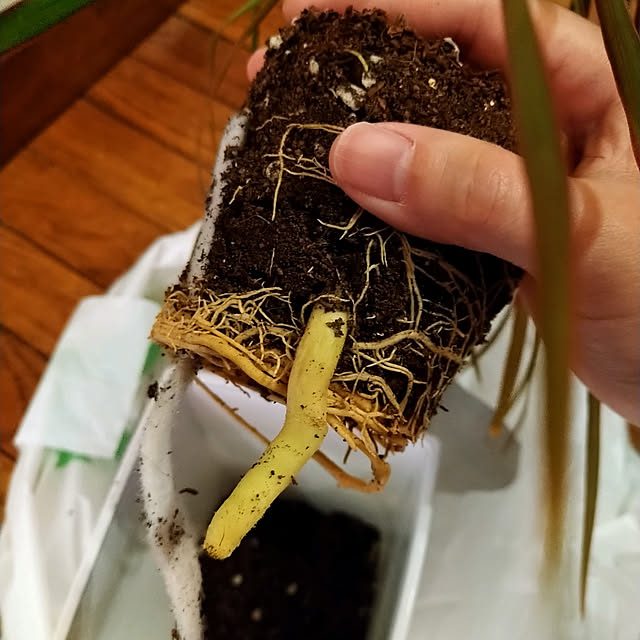 Tさんの実例写真