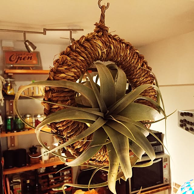 kottonさんの実例写真