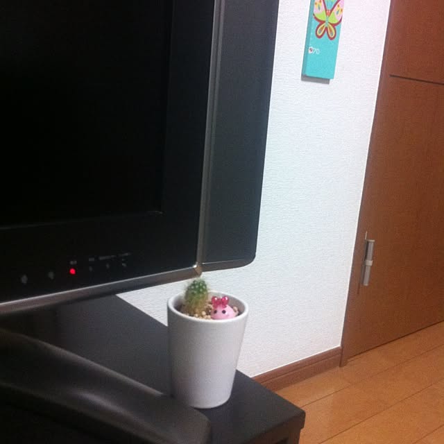 Ryosukeさんの実例写真
