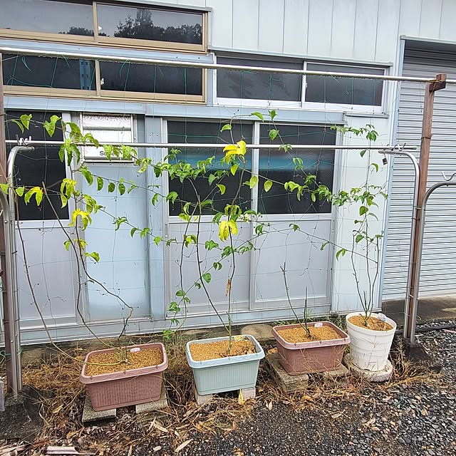 Rubiconさんの部屋