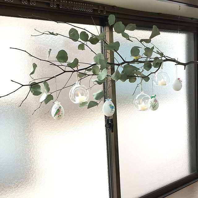 momonaさんの実例写真