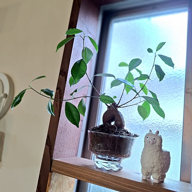 Uchinku.kaotanさんの実例写真