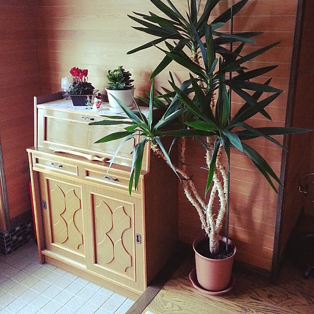 _room97_さんの実例写真