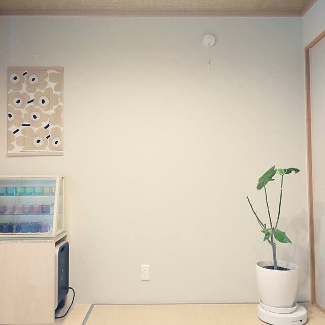 tan5さんの実例写真