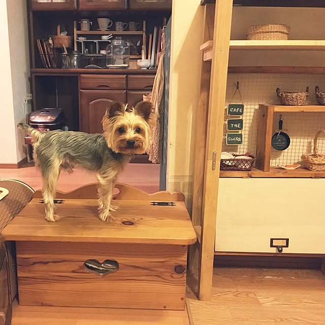 mayuoさんの実例写真