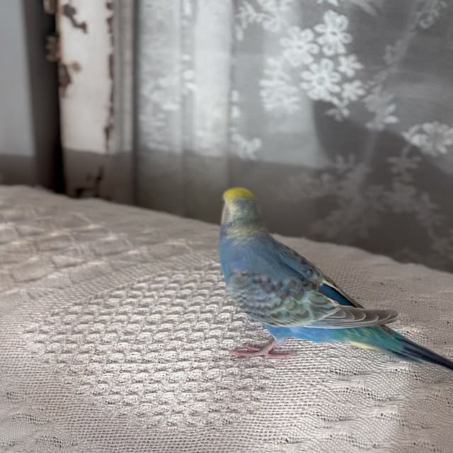 Atsukoさんの部屋