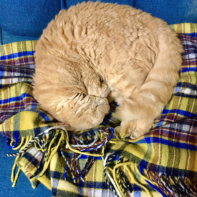 naokoさんの部屋