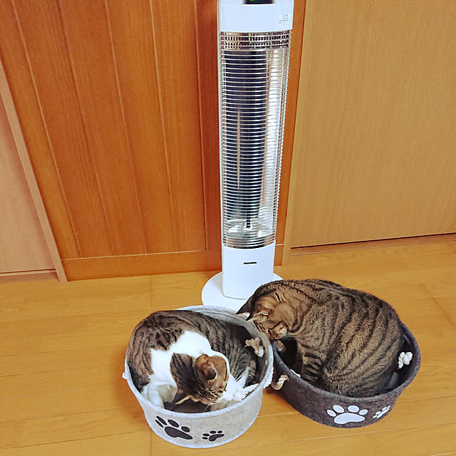 nachiさんの実例写真