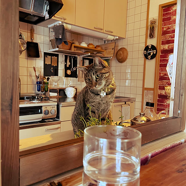 Mさんの実例写真