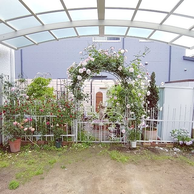 Bienvenueさんの部屋