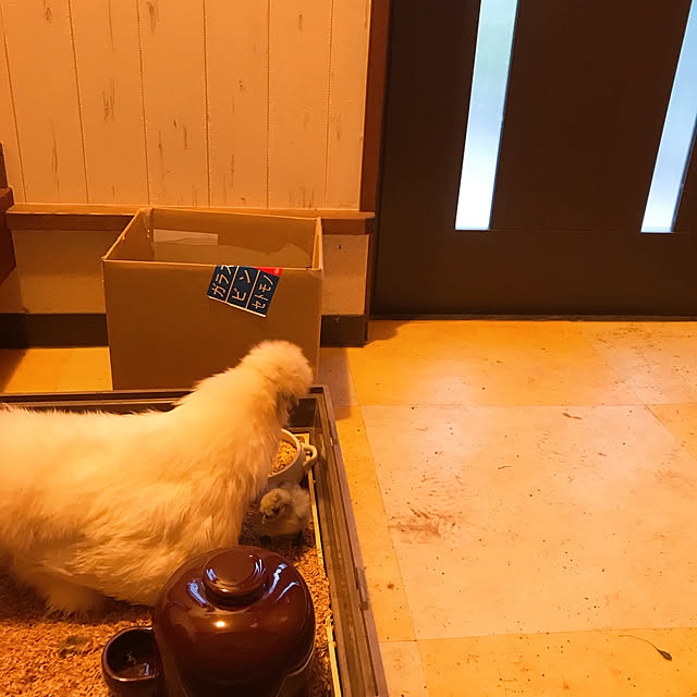 pepeさんの実例写真