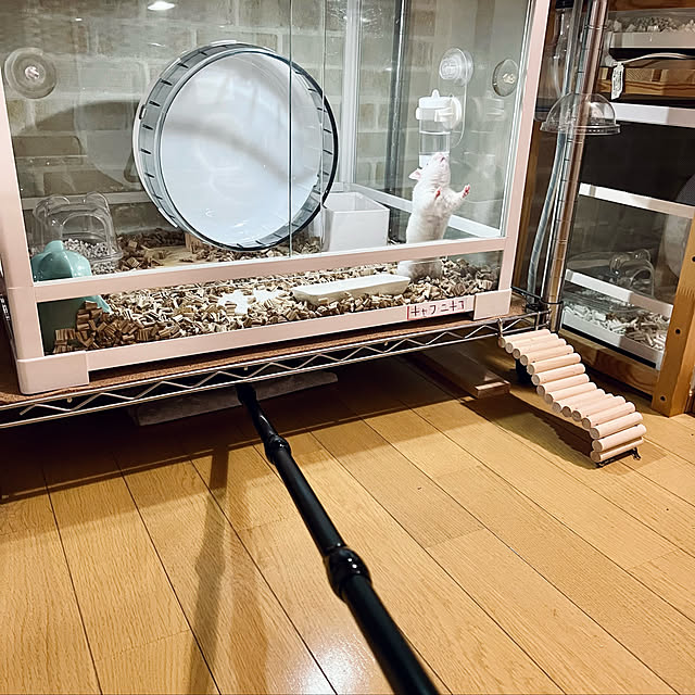 emiさんの実例写真