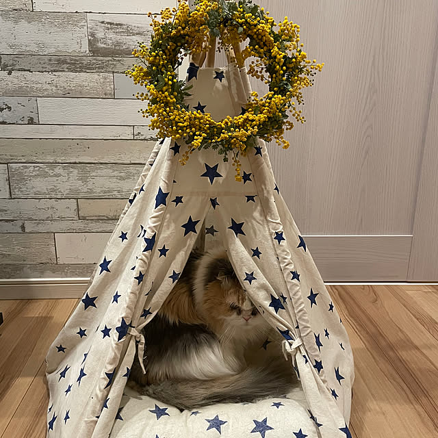 Kaorinさんの実例写真