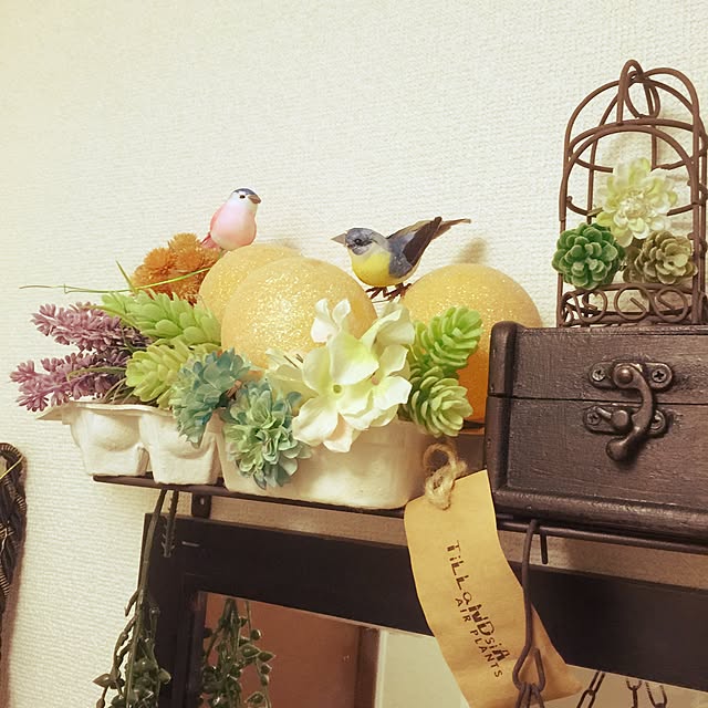 AKIRAさんの実例写真