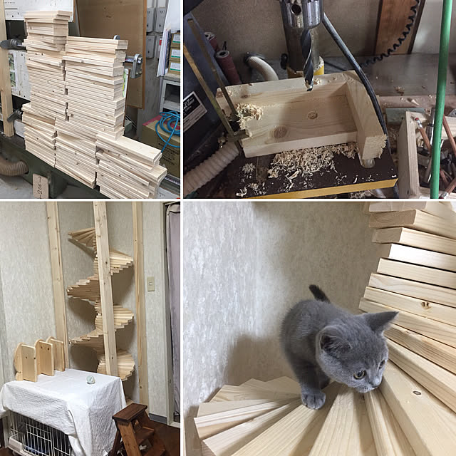 masaさんの実例写真