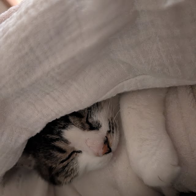 mill_0303さんの実例写真