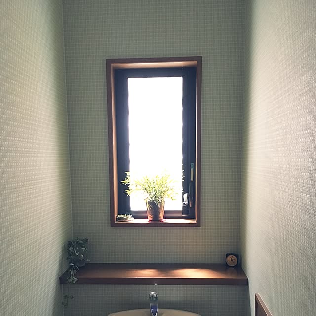 Keikoさんの実例写真