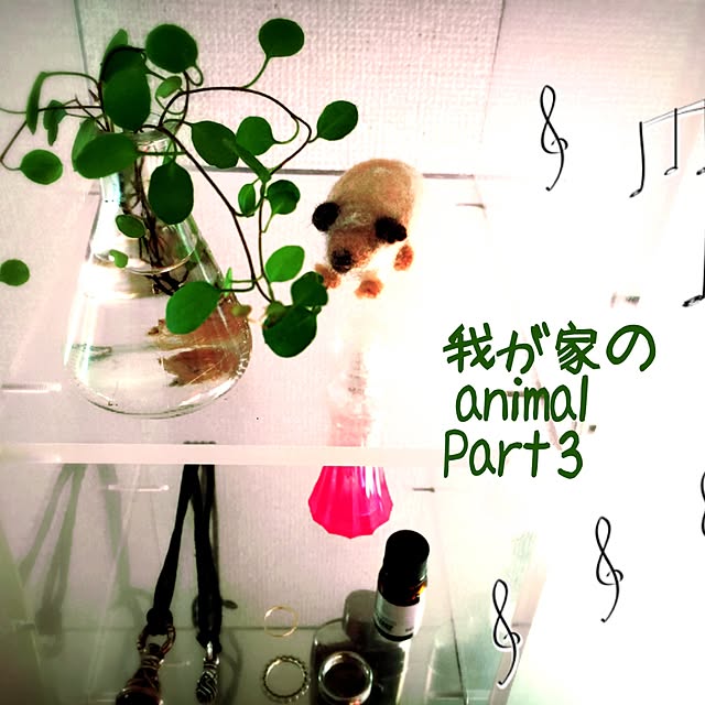 リビング/雑貨/観葉植物のインテリア実例 - 2017-06-11 10:55:46