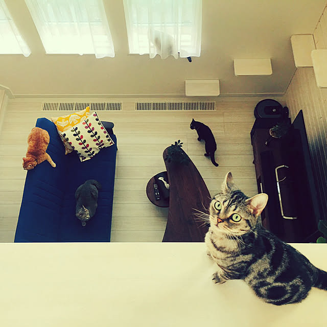 Leoさんの実例写真