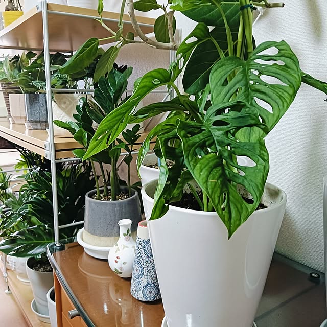 hanachanさんの部屋