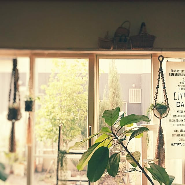 naoonさんの実例写真