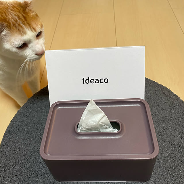 porinさんの実例写真