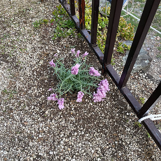 shin0719さんの部屋