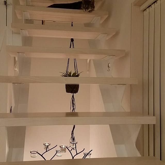 runayucoさんの実例写真