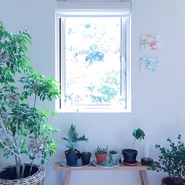 masami.hさんの実例写真