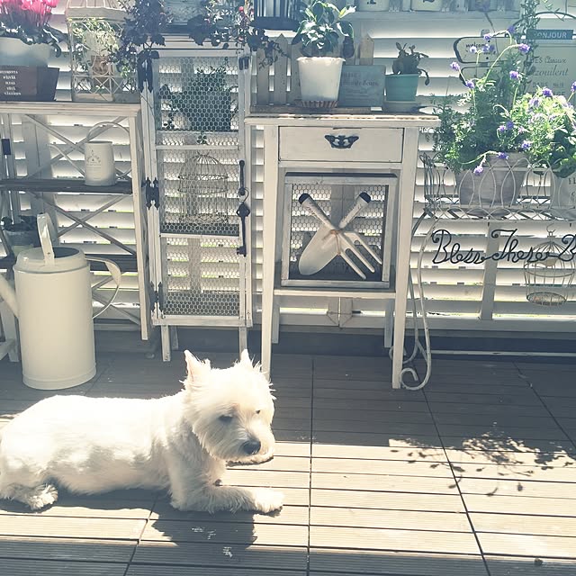 yonaさんの実例写真