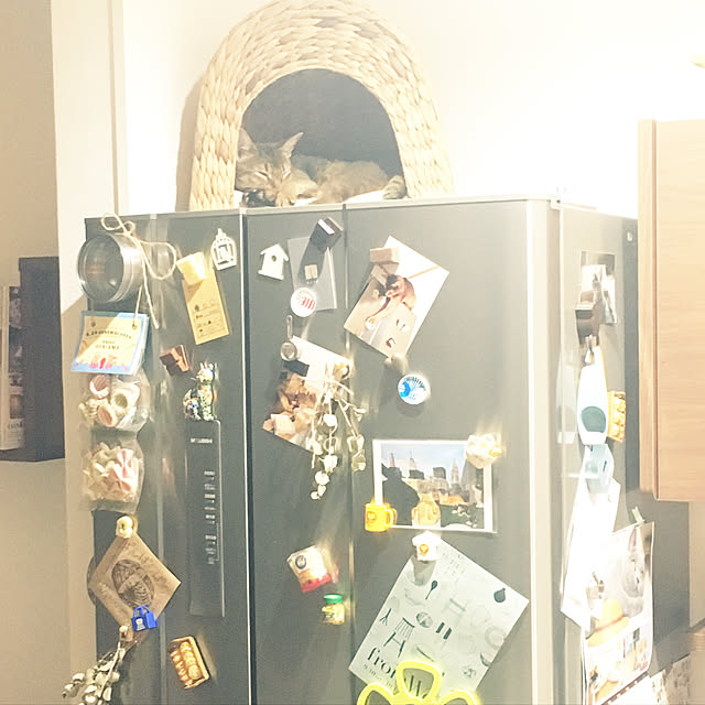 sakineko528さんの実例写真