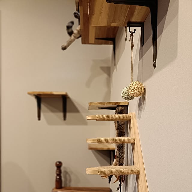 Atelier_tamakiさんの部屋