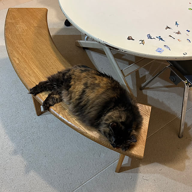 mikomaruさんの実例写真