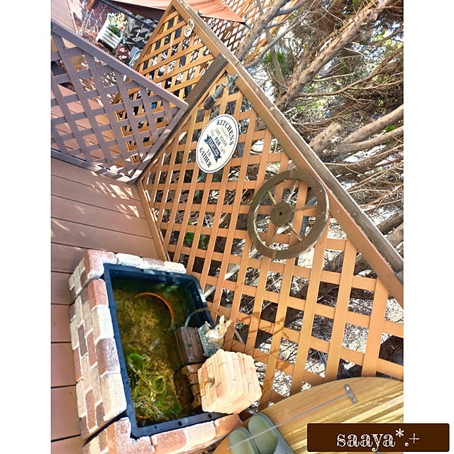 saayaさんの実例写真