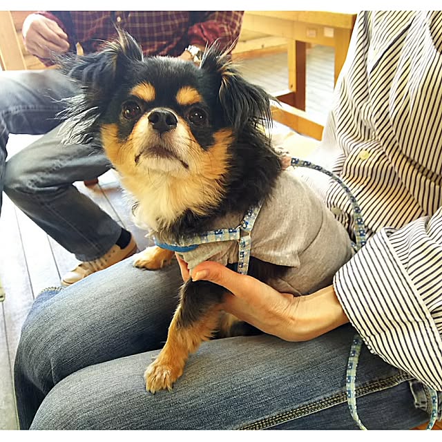 tomokaさんの実例写真