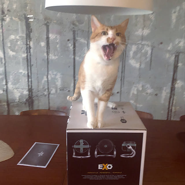 lalaさんの実例写真