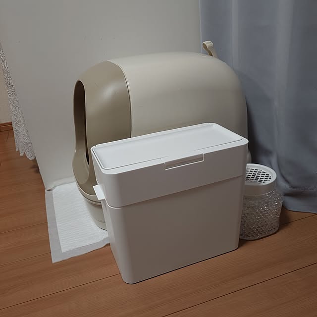 noguriさんの部屋
